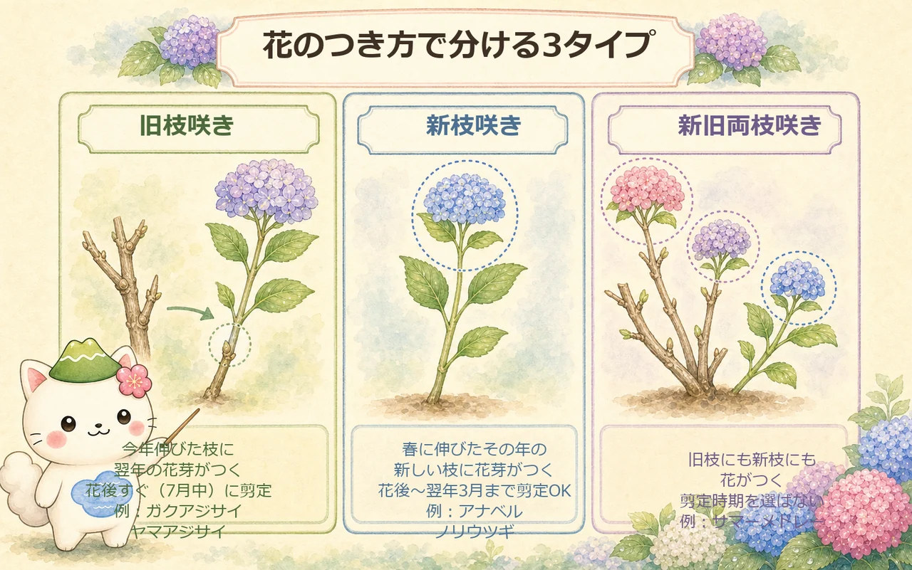 旧枝咲き・新枝咲き・新旧両枝咲きの花芽のつき方の違いを並べた図解