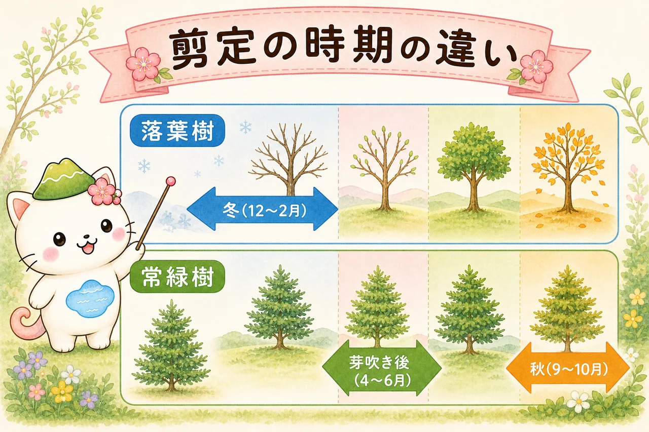 落葉樹は冬の休眠期、常緑樹は芽吹き後と秋が剪定適期であることを示すカレンダー図解