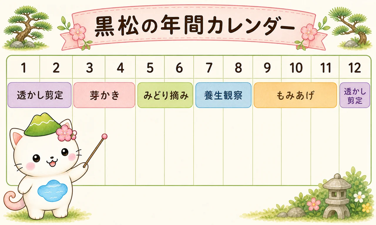 はるにゃさんが黒松の年間カレンダーを案内する図解